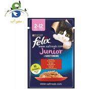 تصویر پوچ گربه فلیکس پورینا فرانسه طعم گوشت گوساله در ژله 85 گرم Felix for cats beef in jelly 85g