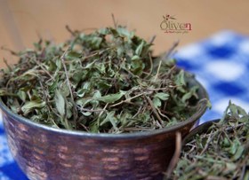 تصویر آویشن سایه خشک 