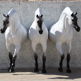 تصویر مجسمه نیم تنه دیواری ایستاده اسب عرب ابعاد واقعی مدل سه تایی 