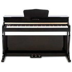 تصویر پیانو نسخه ADP 1977 BV3 2025 Arsenberg 