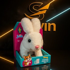 تصویر خرگوش موزیکال 