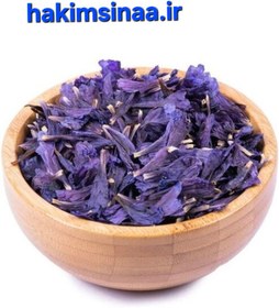 تصویر گل گاوزبان 