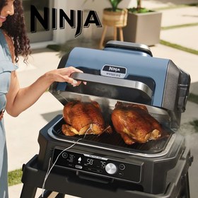 تصویر گریل باربیکیو برقی نینجا مدل NINJA OG901 Ninja Woodfire Electric BBQ Grill & Smoker OG901