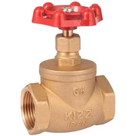 تصویر شیر سوزنی کیز ایران 