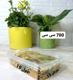 تصویر ظروف فریزری 700 سی سی 