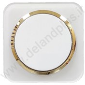 تصویر کلید تک پل آدا پلکسی سفید زه طلایی دلند پلاس 