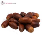 تصویر بلوط ۵۰۰ گرم 