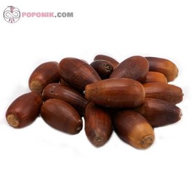 تصویر بلوط ۵۰۰ گرم 