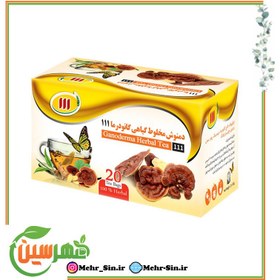 تصویر دمنوش قارچ گانودرما 111 Ganoderma mushroom tea 111