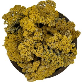 تصویر بومادران 