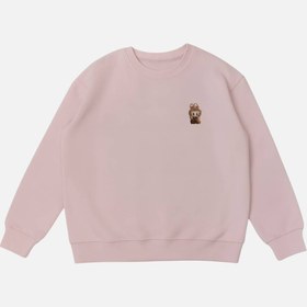 تصویر پلیور (۴۴۰۳۷۶۶) 