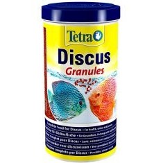 تصویر تترا دیسکاس ۱۰۰۰ میل،آکواریوم آرام Tetra Discus