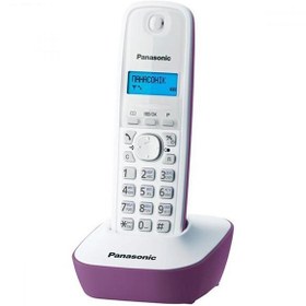 تصویر تلفن بی سیم پاناسونیک مدل KX-TG1611 Panasonic KX-TG1611 Wireless Phone