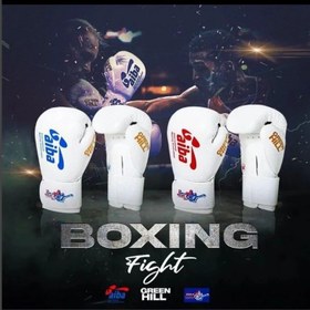 تصویر دستکش بوکس گرین هیل آیبا - ۱۲ 