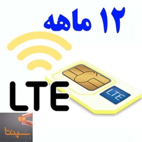 تصویر سیم کارت TD-Lte ایرانسل بهمراه اینترنت ۱۲ماهه سپنتا 