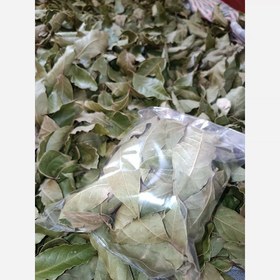 تصویر برگ بو خشک شده 