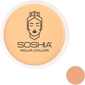 تصویر کرم گریم فشرده سوشیا W1 Soshia Solid Foundation 30 g