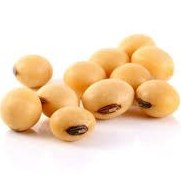 تصویر لوبیا سویای خام (1000گرمی) 