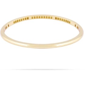 تصویر النگو دامبله 3 میل 