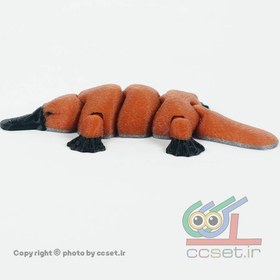 تصویر پلاتیپوس 