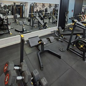 تصویر فیله کمر 