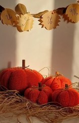 تصویر ست کدو بافت تزئینی 