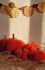 تصویر ست کدو بافت تزئینی 