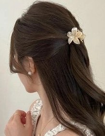 تصویر کلیپس پلومریا طرح گل وارداتی سایز کوچک در رنگبندی متنوع HAIR ACCESSORY- PLUMERIA CLIP