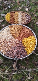 تصویر اجیل مخلوط اعلا 