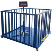 تصویر باسکول دامکش نیکو 3 تن مدل 3000EMF4L 