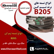 تصویر تسمه قله بر تیم کن B205 