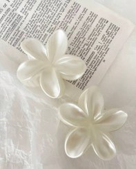 تصویر کلیپس پلو مریا 