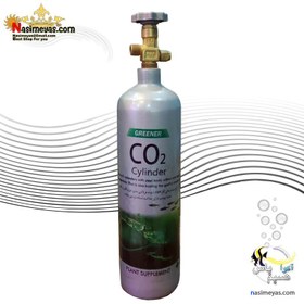 تصویر کپسول CO2 فلزی آکواریوم 4 لیتری گرینر Ocean free CO2 Capsule PM-084