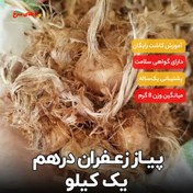 تصویر پیاز زعفران قاینات یک کیلویی(ارسال رایگان) 