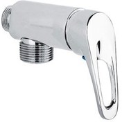 تصویر شیر تکی تیدا راسان 