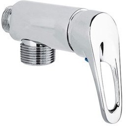 تصویر شیر تکی تیدا راسان 