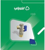 تصویر شیر پیسوار کسری 