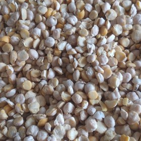 تصویر نخود لپه 