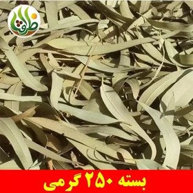 تصویر برگ اکالیپتوس ممتاز ظرافت 250 گرمی 