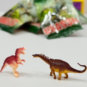 تصویر حیوانات شانسی 