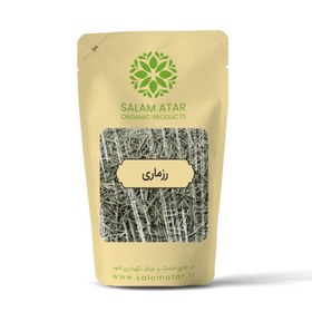 تصویر گیاه رزماری 