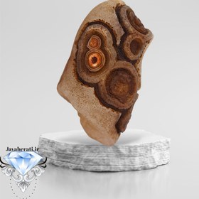 تصویر سنگ عقیق باباقوری چشم فسیلی کمنظیر S89 