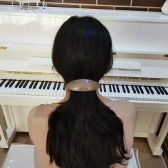 تصویر گیره فرانسوی استات اکلیلی(نوستالژی دهه 60) 