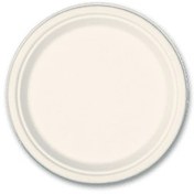 تصویر بشقاب یکبار مصرف گیاهی 9 اینچ 