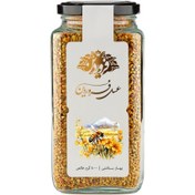 تصویر گرده گل فروردین 