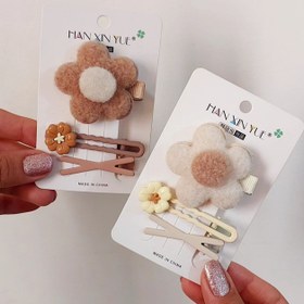 تصویر گلسر گل 