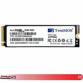 تصویر حافظه SSD اینترنال توین موس M.2 NVMe مدل AlphaPro ظرفیت 256 گیگابایت TwinMOS AlphaPro 256GB M.2 NVMe 2280 Internal SSD