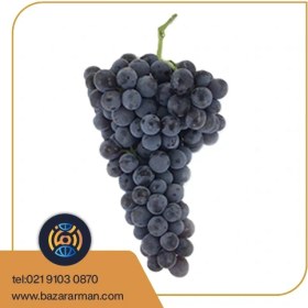 تصویر انگور سیاه شانی 