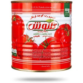 تصویر رب 800 گرم گلنوش (12ع) 