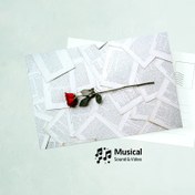 تصویر کارت پستال رز 